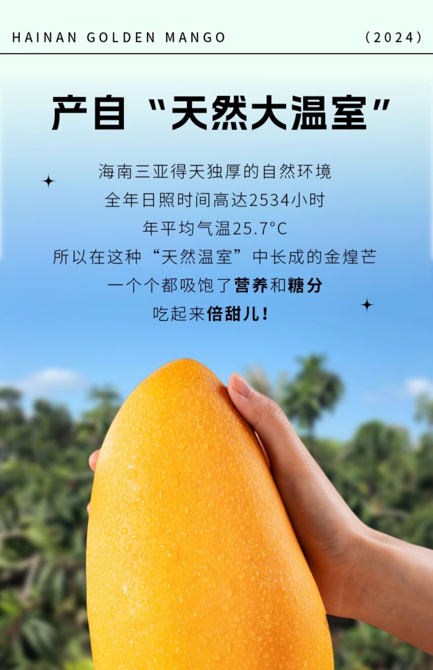 详情图7.jpg