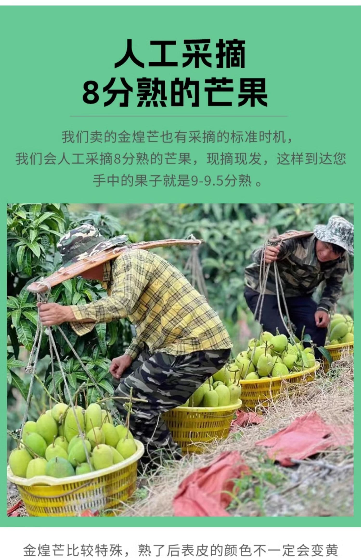 详情图9.jpg