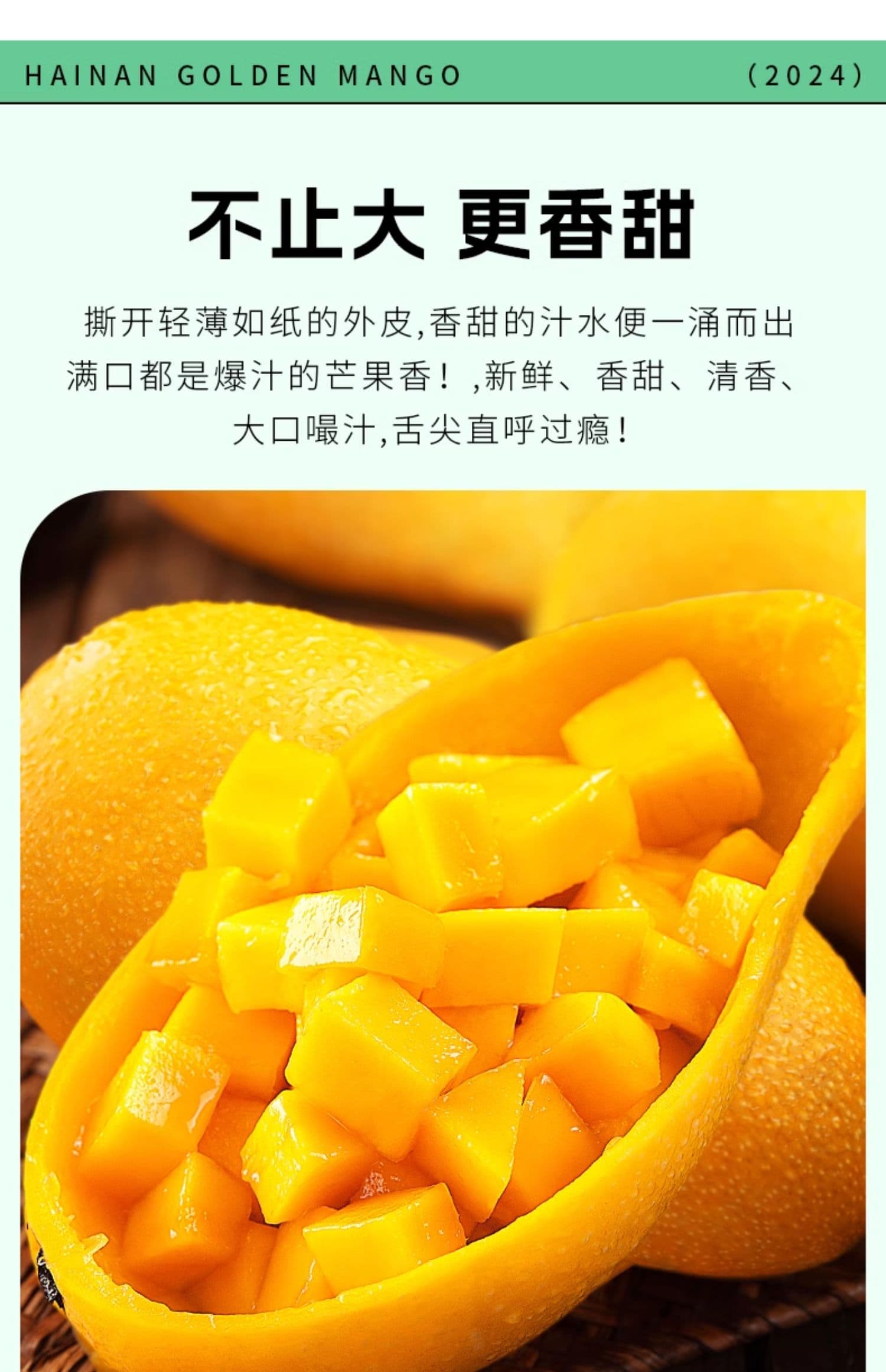 详情图11.jpg