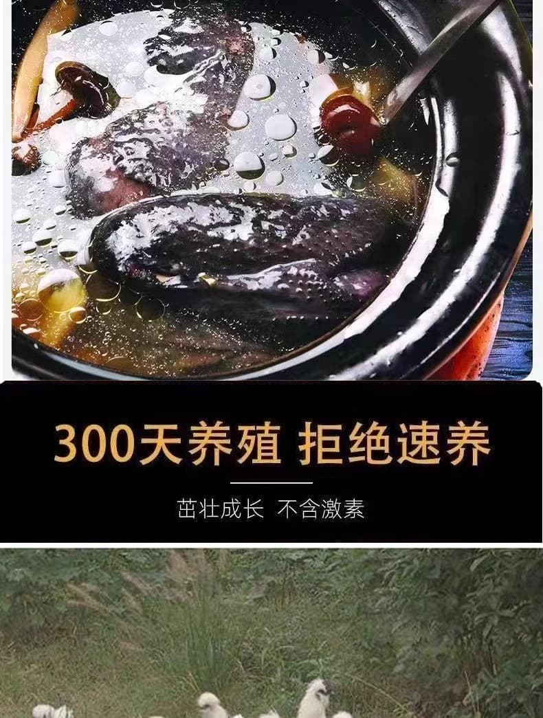 详情图6.jpg
