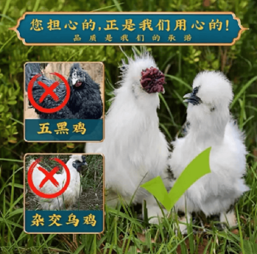 详情图9.png