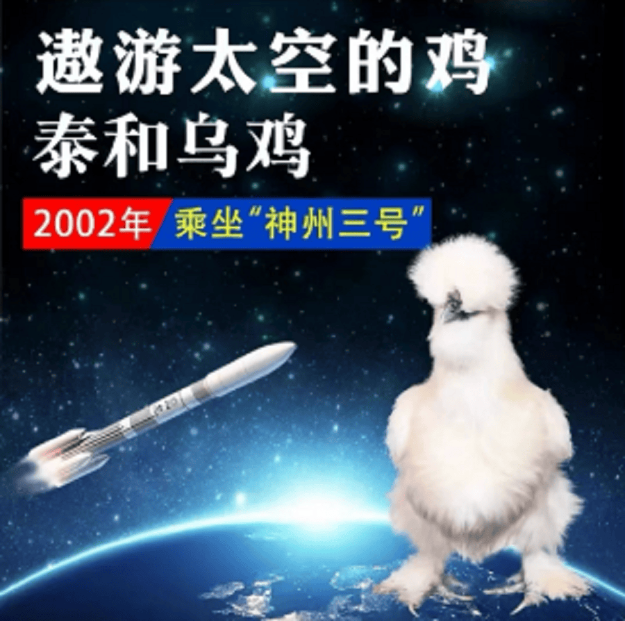 详情图8.png