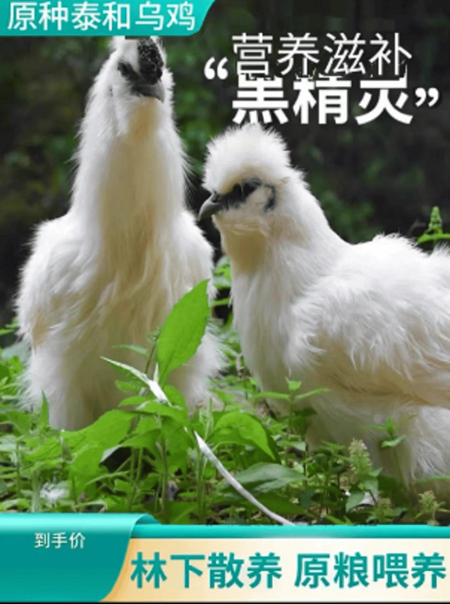 详情图6.png