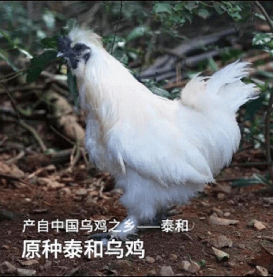 详情图12.png