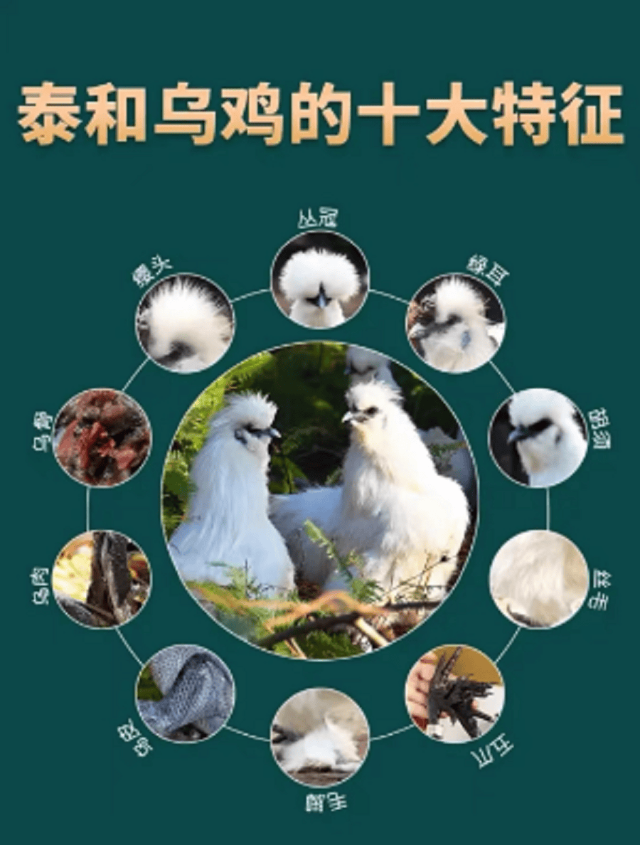 详情图11.png
